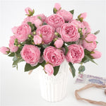 Rosa