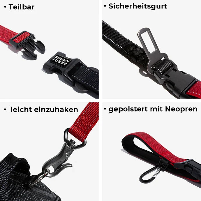 Hundeleine mit Sicherheitsgurt-Funktion für Autofahrten, reflektierend für bessere Sichtbarkeit.