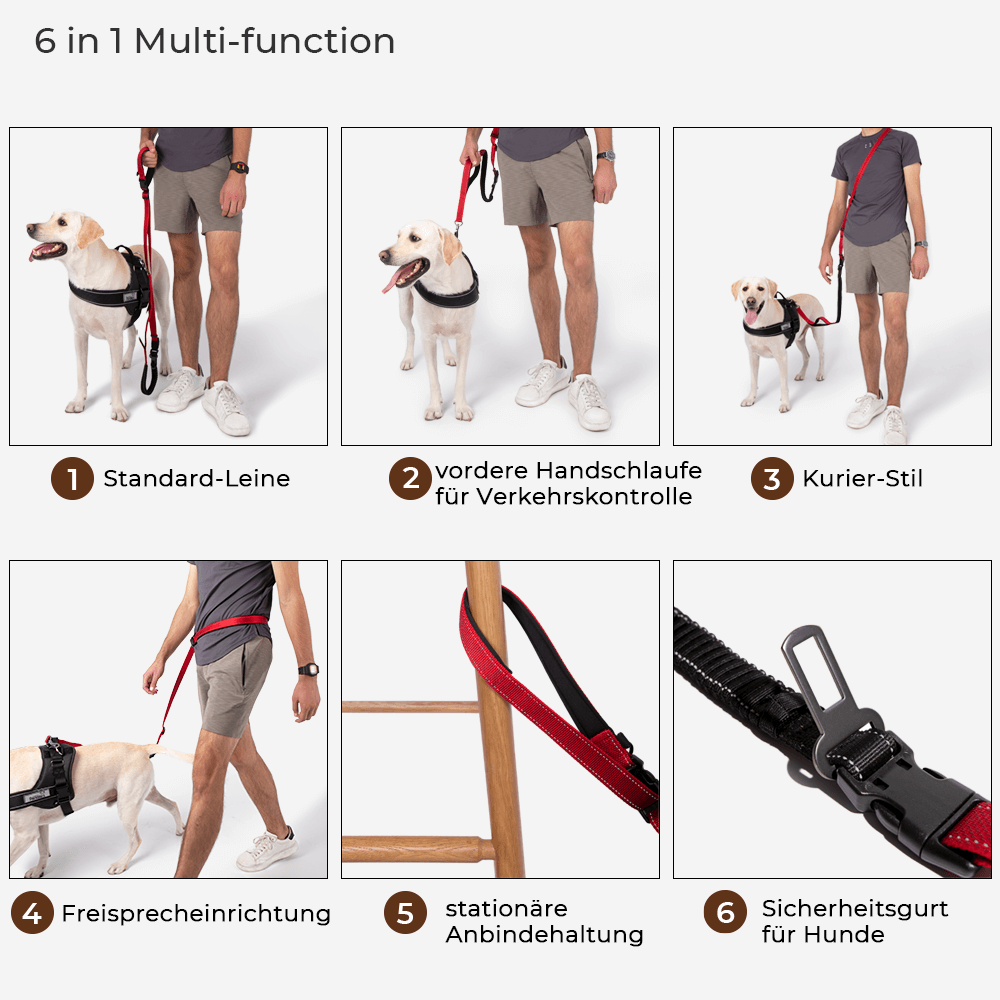 Freisprech-Hundeleine in Aktion, perfekt für Jogging & Wanderungen mit Ihrem Hund.