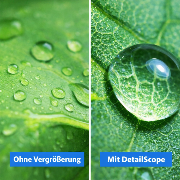 Leistungsstarkes digitales USB Mikroskop mit 1600x Vergrößerung und heller LED-Beleuchtung für Details.