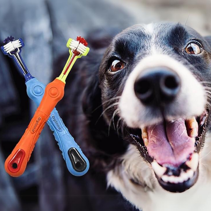 Dreiseitige Haustier Zahnbürste für Hunde & Katzen im 2er-Pack. Effektive Zahnreinigung für Tiergesundheit.