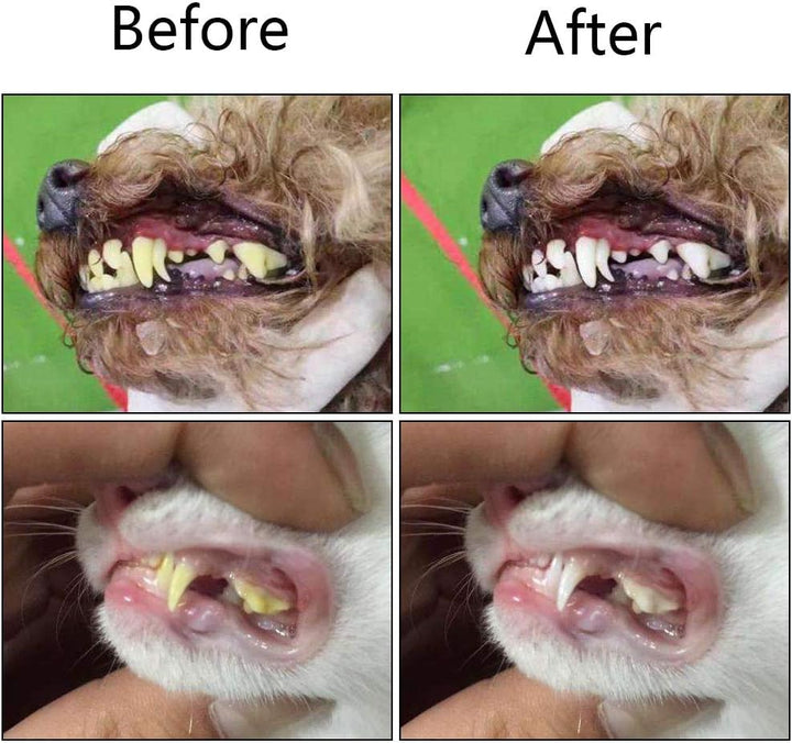 Dreiseitige Zahnbürsten für Hunde und Katzen. Ideal für die tägliche Haustier-Mundhygiene und gesunde Zähne.