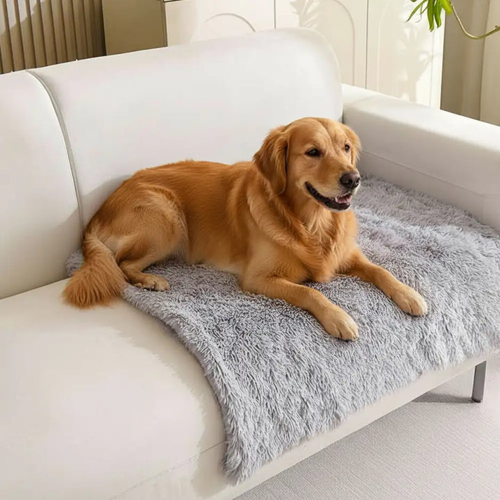 Dunkelgraue Plüsch-Hundematte, warm & gemütlich für Tiefschlaf. Waschbar & rutschfest für Tierkomfort.