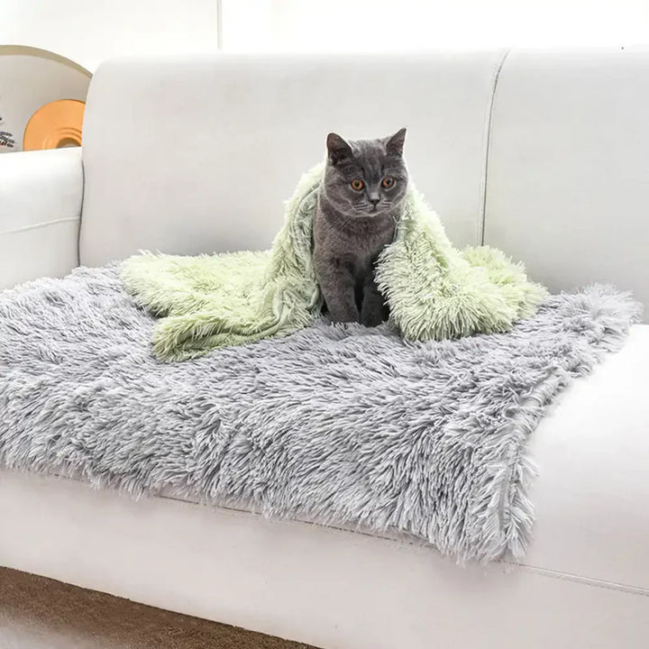 Blaue, weiche Plüsch-Hundematte für optimalen Tierkomfort. Fördert Tiefschlaf, waschbar & rutschfest.