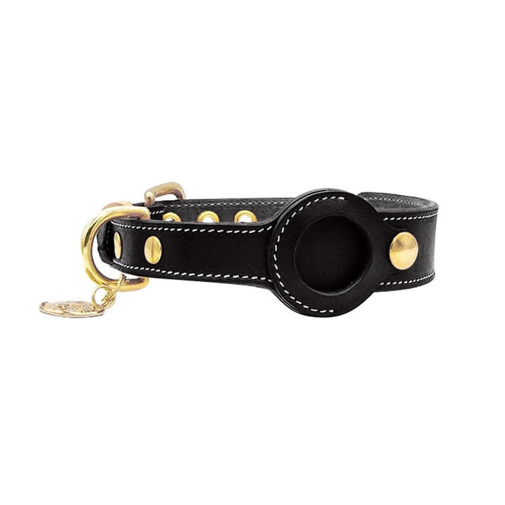 Hochwertiges Lederhalsband mit integrierter AirTag-Halterung für Haustiere. Optimale Sicherheit & GPS-Ortung.
