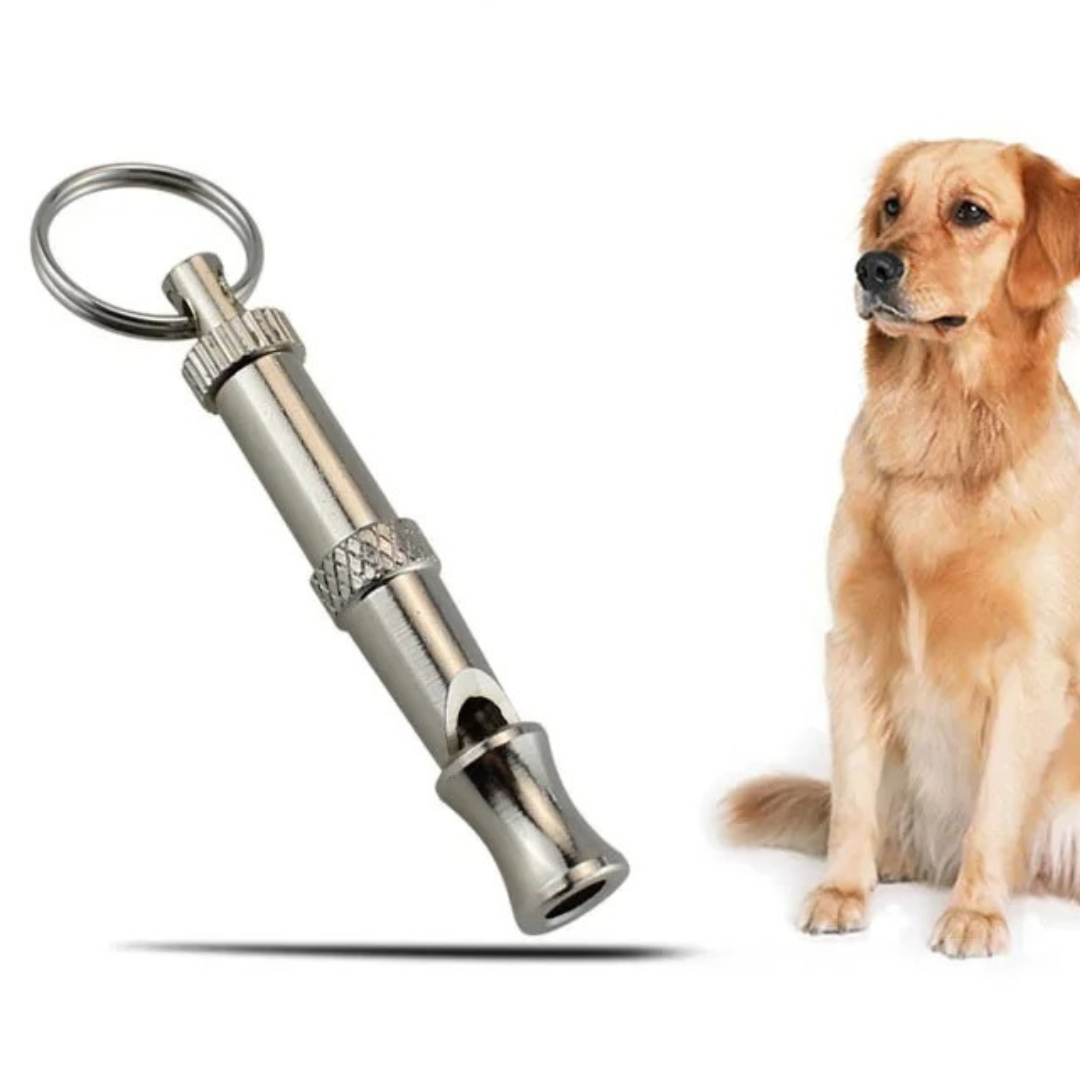 Edelstahl Hundepfeife für effektives Hundetraining und Rückruf. Ideal für Gehorsamkeitstraining Ihres Haustiers.