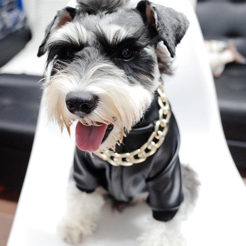 Stilvolles Goldketten Hundehalsband. Elegantes Katzenhalsband, Tier-Schmuck mit glitzerndem Charme.