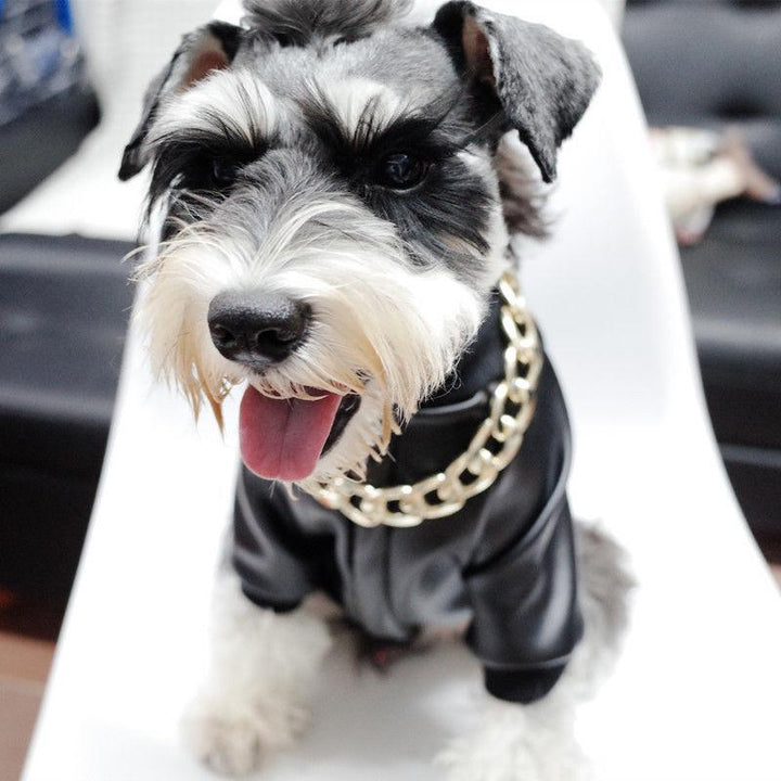 Stilvolles Goldketten Hundehalsband. Elegantes Katzenhalsband, Tier-Schmuck mit glitzerndem Charme.