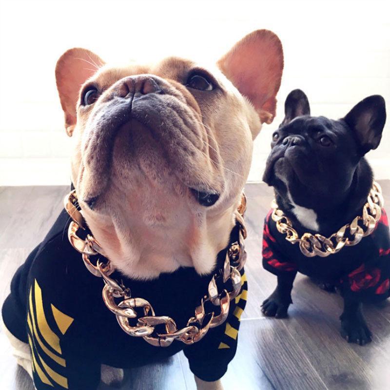 Nahaufnahme: Goldketten Halsband, ideal für Hunde & Katzen. Glamouröses Tier-Accessoire.
