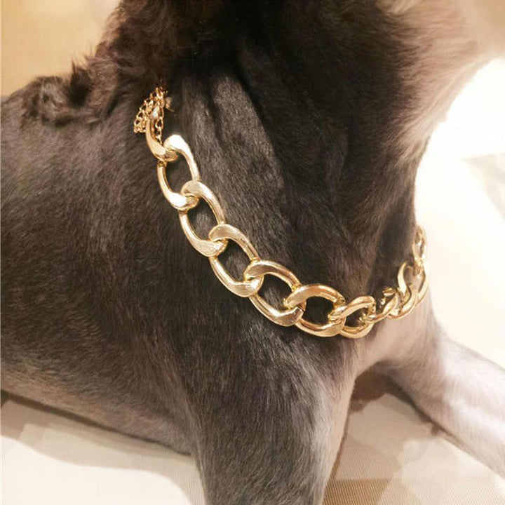 Edles glitzerndes Goldketten Halsband. Hochwertiger Haustier-Schmuck, stilvolles Design für Tiere.