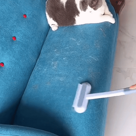 Umweltfreundlicher, wiederverwendbarer PetClean Pro Haustierhaarentferner für nachhaltige Tierhaarentfernung.