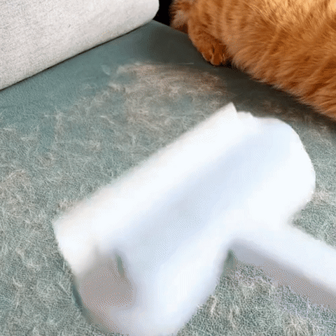 Sauberes Zuhause dank PetClean Pro: effektive Tierhaarentfernung für Allergiker und Tierbesitzer.