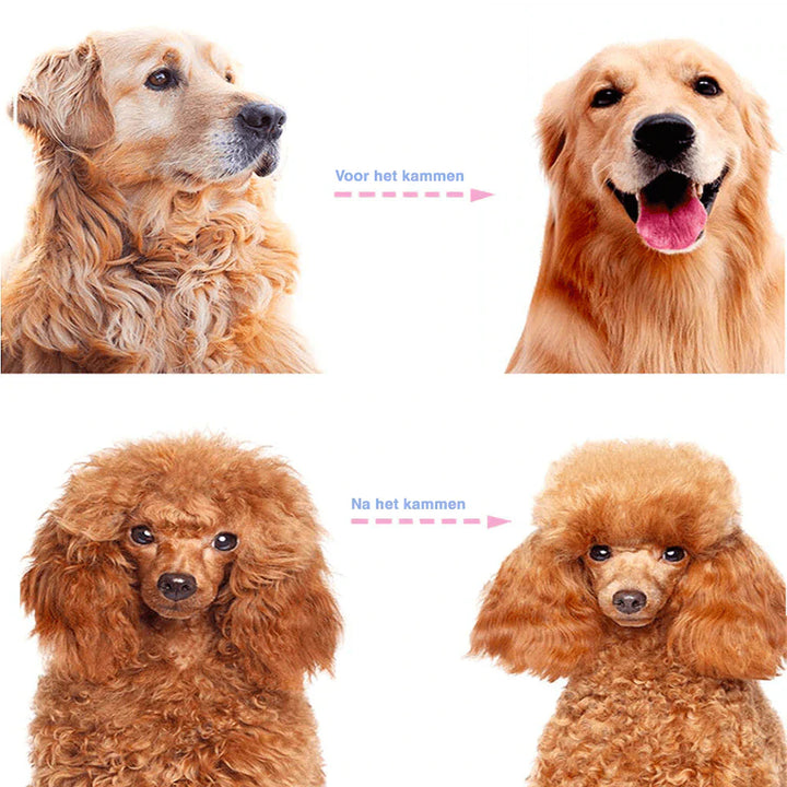 Katzenbürste und Entfilzungswerkzeug für ein gesundes, glänzendes Fell und zur Unterfellpflege.