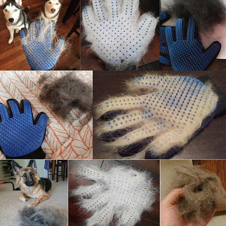 Tierpflege-Handschuh für Hunde & Katzen zur effizienten Haarentfernung. Fördert Hautgesundheit & Wohlbefinden Ihres Haustiers.