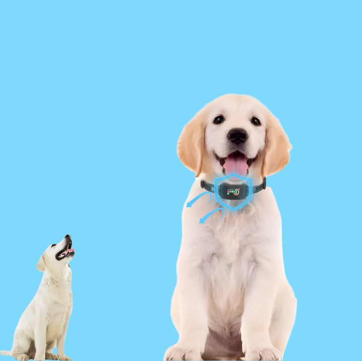 Effektives Hundetraining Halsband mit Vibration & Schockmodus zur Gehorsamkeitserziehung und Verhaltenskorrektur.