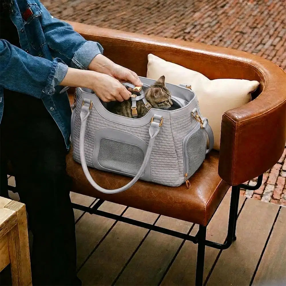 Komfortable Hundetasche aus Kunstleder für Reisen, mit Belüftung für kleine Hunde & Katzen. Sicherheit inklusive.