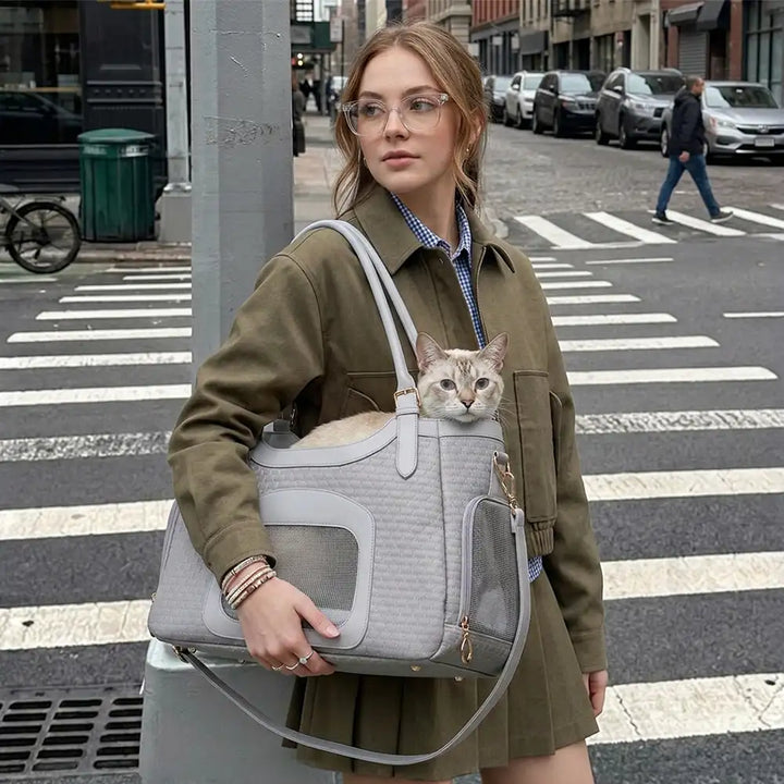 Blaue Kunstleder Hundetasche, elegant & atmungsaktiv. Ideal für kleine Hunde auf Reisen und unterwegs.