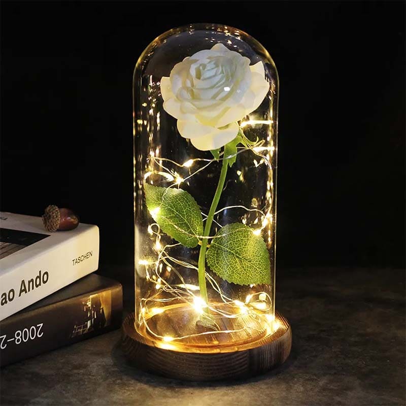 Liebevoll arrangierte ewige Rose unter Glas, ideales Liebesgeschenk für Valentinstag oder Jahrestag, edle Tischdeko.