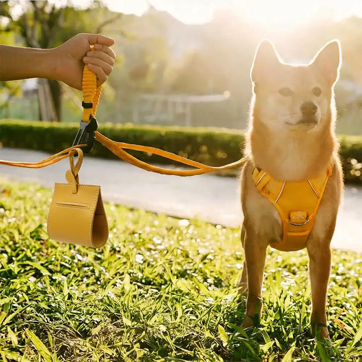 Klassischer PU-Leder Hundekotbeutelspender, elegantes Design und praktische Funktion für Haustierbesitzer.