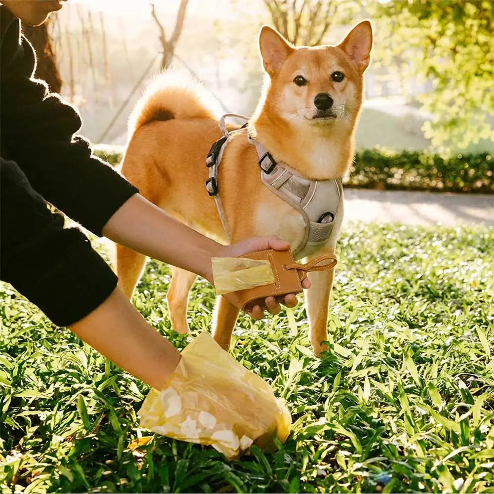 Robuster PU-Leder Spender für Hundekotbeutel, langlebiges und zuverlässiges Zubehör für tägliche Runden.