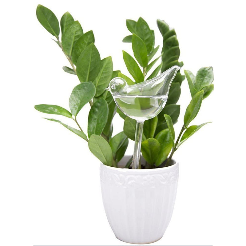 Gesunde Zimmerpflanze dank automatischem Glasvogel-Bewässerungssystem. Nie wieder vertrocknete Blumen.