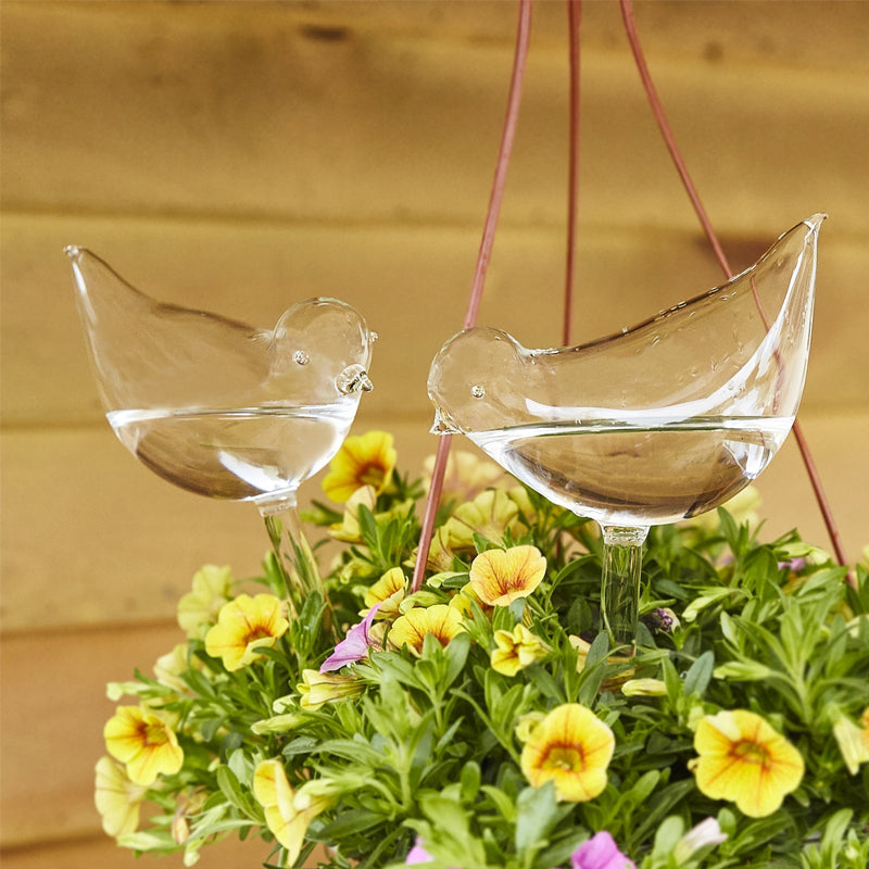 Detailansicht des transparenten Glasvogels aus robustem Hochborosilikatglas zur Pflanzenbewässerung.