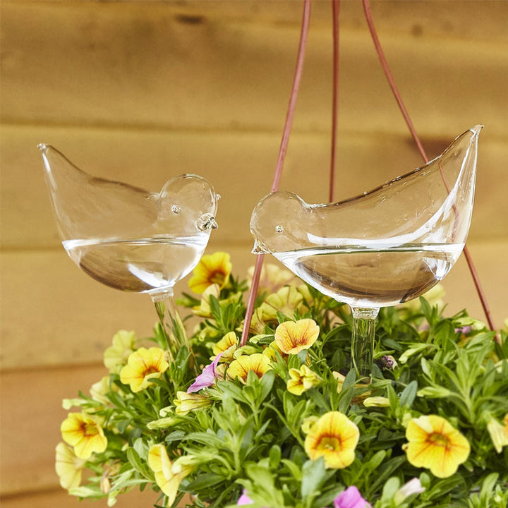 Detailansicht des transparenten Glasvogels aus robustem Hochborosilikatglas zur Pflanzenbewässerung.