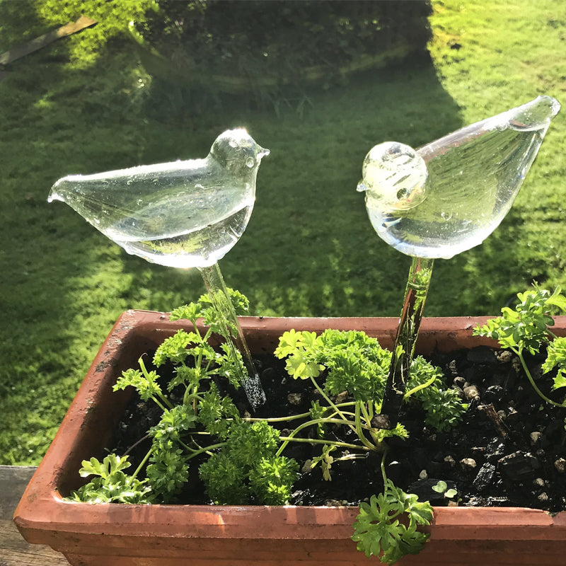 Glasvogel-Wasserspender im Blumentopf. Praktischer Gartenhelfer für optimale Blumenpflege zu Hause.