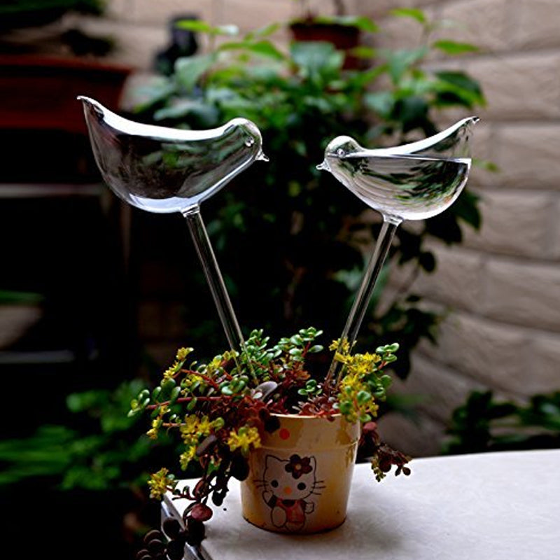 Selbstbewässernder Glasvogel in einer Hängepflanze, sichert konstante Feuchtigkeit für gesunde Pflanzen.
