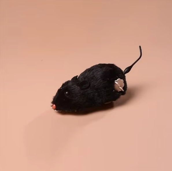 Elektrisches Katzenspielzeug in Mausform, perfekt für interaktive Jagdspiele und mehr Bewegung.