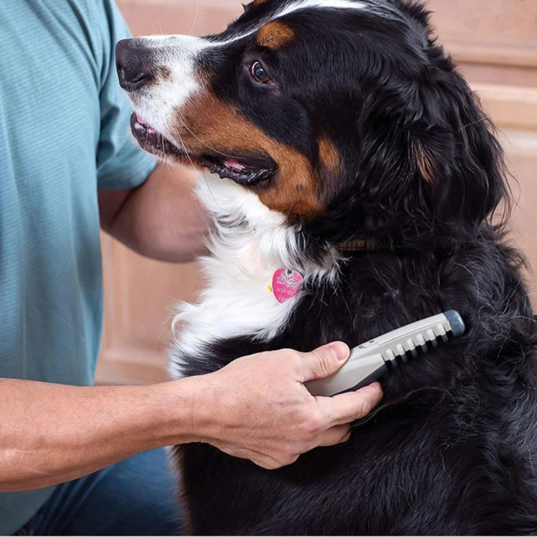 Kabelloser Hunde- & Katzen-Trimmer für sanftes Entwirren & schmerzfreie Fellpflege zu Hause.