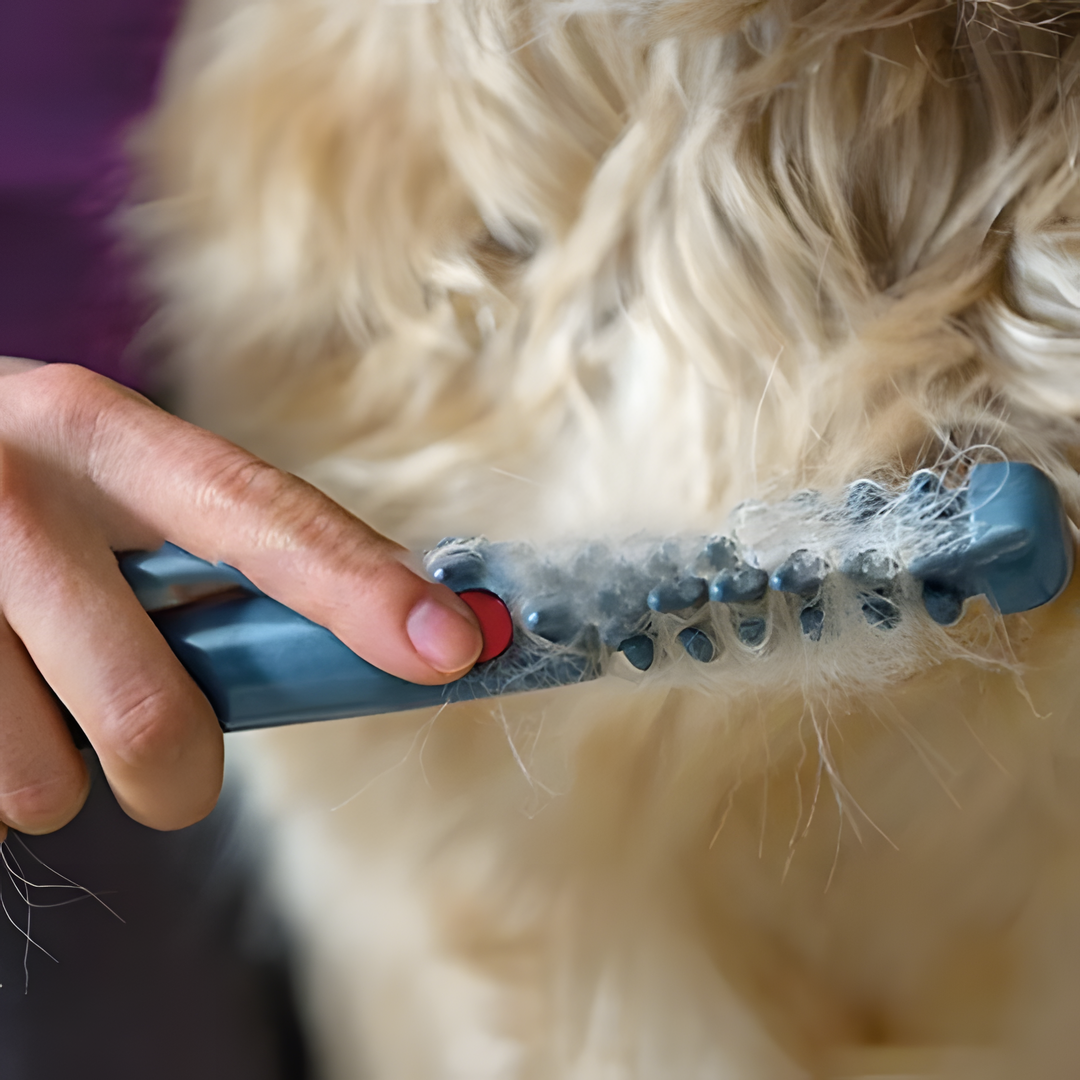 Sicherer elektrischer Fell-Entwirrer für Katzen & Hunde. Sanftes Entfilzen für ein glänzendes Tierfell.