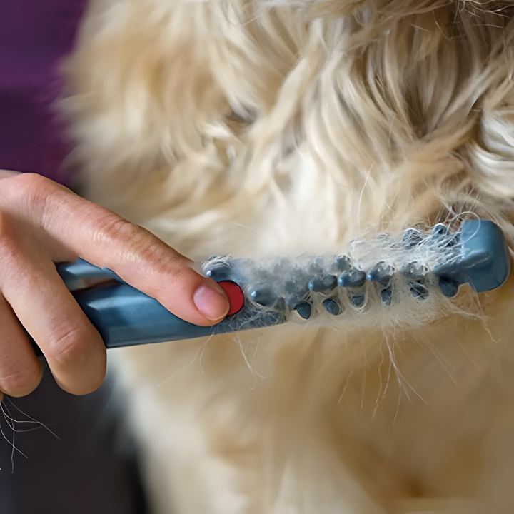 Sicherer elektrischer Fell-Entwirrer für Katzen & Hunde. Sanftes Entfilzen für ein glänzendes Tierfell.