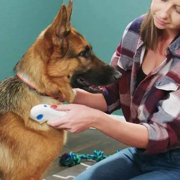 Elektrischer FleaZap Flohentferner für Hunde & Katzen. Sanfte, chemiefreie Flohbekämpfung, Fellpflege.