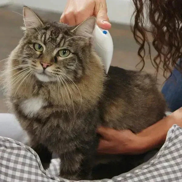 Chemiefreier elektrischer FleaZap Flohentferner. Sanfter Flohkamm für Hunde & Katzen. Sichere Flohbekämpfung.