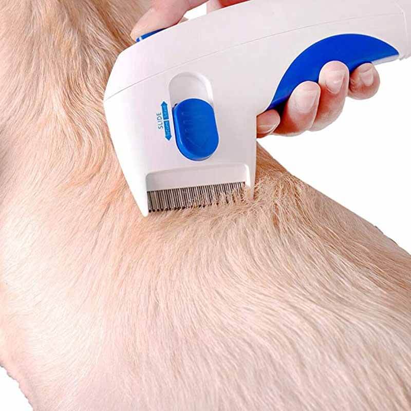 Handlicher elektrischer FleaZap Flohentferner. Ergonomischer Flohkamm für effektive Fellpflege bei Hund & Katze.