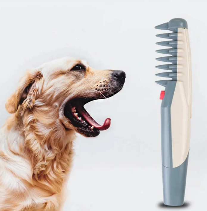 Elektrischer Haarschneider für Hunde & Katzen zur sanften Fellpflege, kabellos und leise.