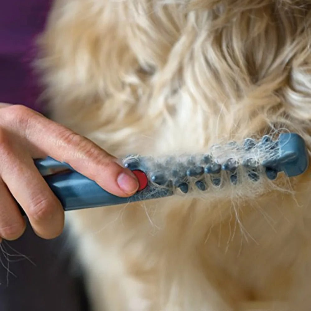 Tierhaartrimmer elektrisch: Geräuscharm, wiederaufladbar, ideal für die Fellpflege von Hunden & Katzen.