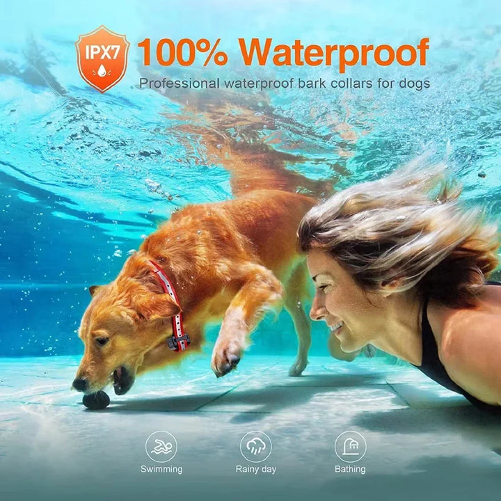 PetControl elektrisches Hunde-Erziehungshalsband, reflektierend, ideal für Anti-Bell- und Gehorsamstraining.