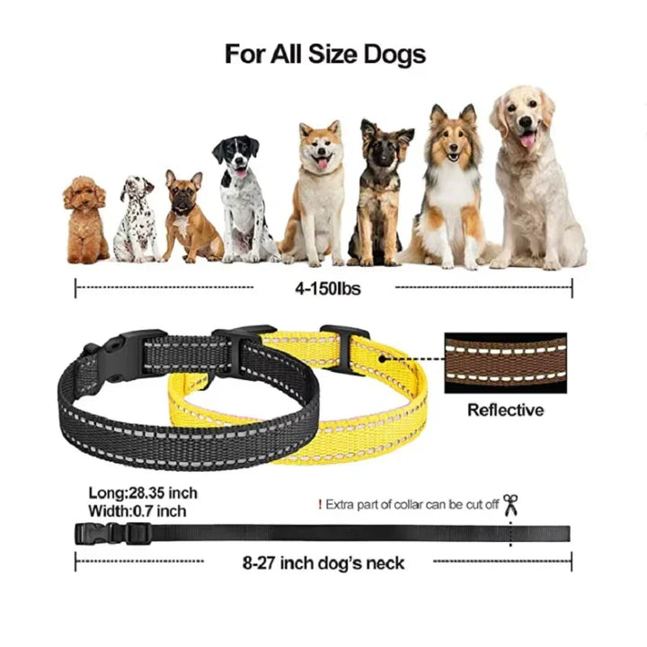 Robustes Hundezubehör: Elektrisches Trainingshalsband mit 1000m Reichweite für sicheres Hundetraining.