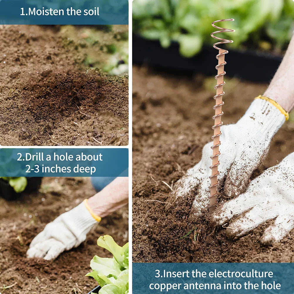 Nachhaltige Elektrokultur Antennen für vitales Pflanzenwachstum ohne chemischen Dünger im Garten.