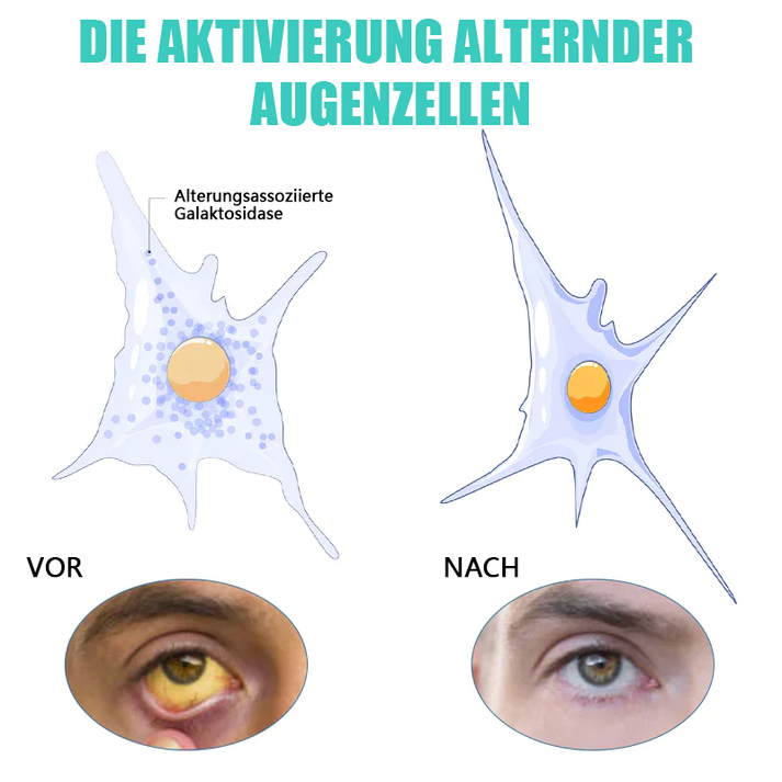 Augentropfen für Bildschirmarbeit, trockene Augen und zur Steigerung des Augenkomforts.