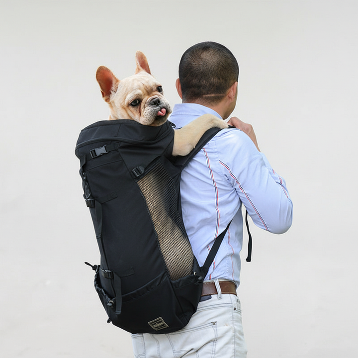 Praktische Hundetrage für kleine & mittlere Hunde, ideal für Städtetrips und längere Spaziergänge.
