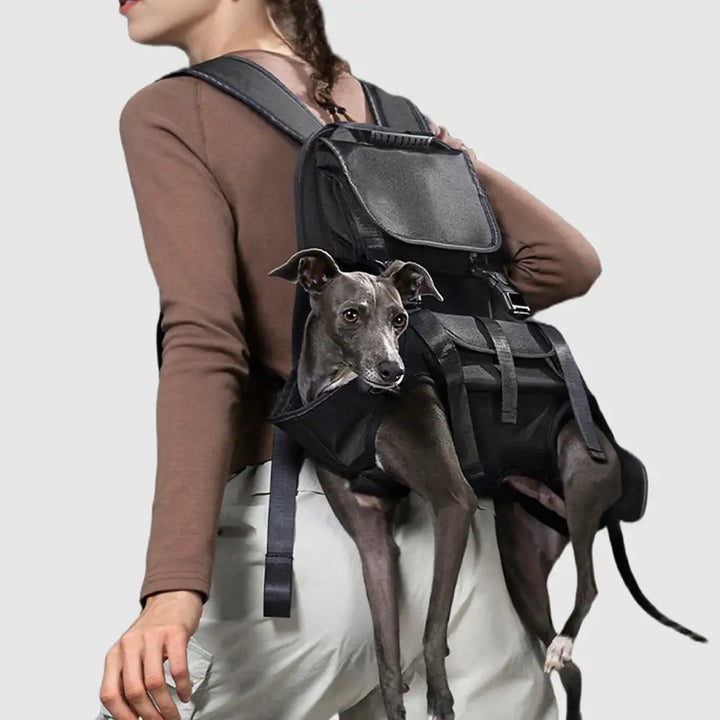 Ergonomisches Hundegeschirr für kleine, alte Hunde & Welpen. Bietet Komfort beim Spaziergang & Reisen.