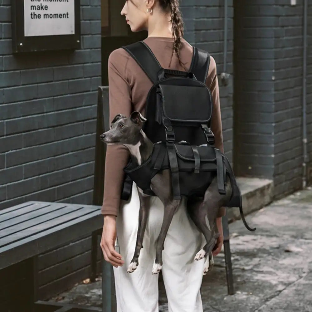 Robustes Outdoor-Hundegeschirr, ergonomisch für Komfort. Perfektes Wandergeschirr für aktive Hunde.