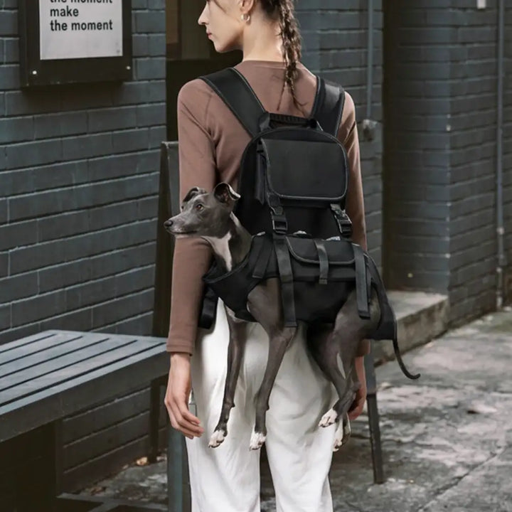Robustes Outdoor-Hundegeschirr, ergonomisch für Komfort. Perfektes Wandergeschirr für aktive Hunde.
