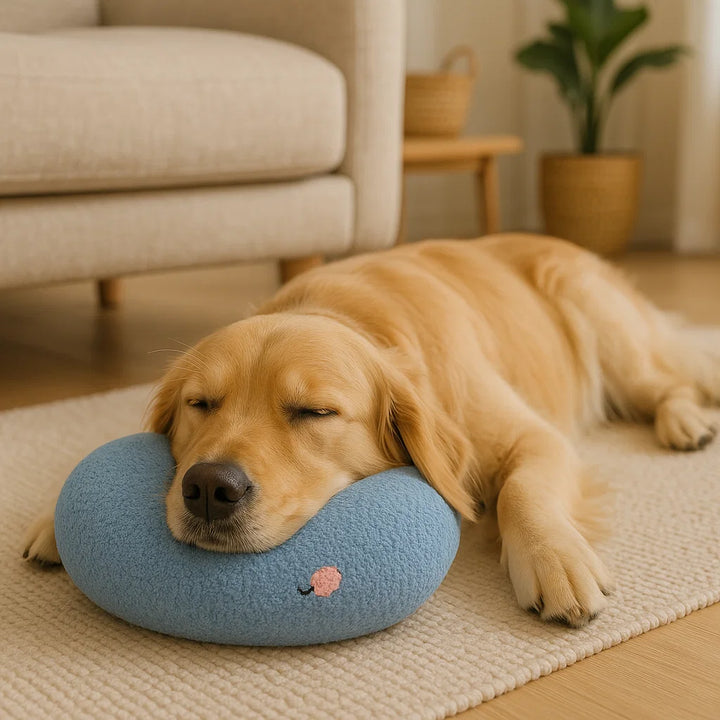 Ergonomisches Stützkissen für Hunde, fördert gesunde Haltung & entlastet Gelenke. Max. Komfort für Ihren Hund.