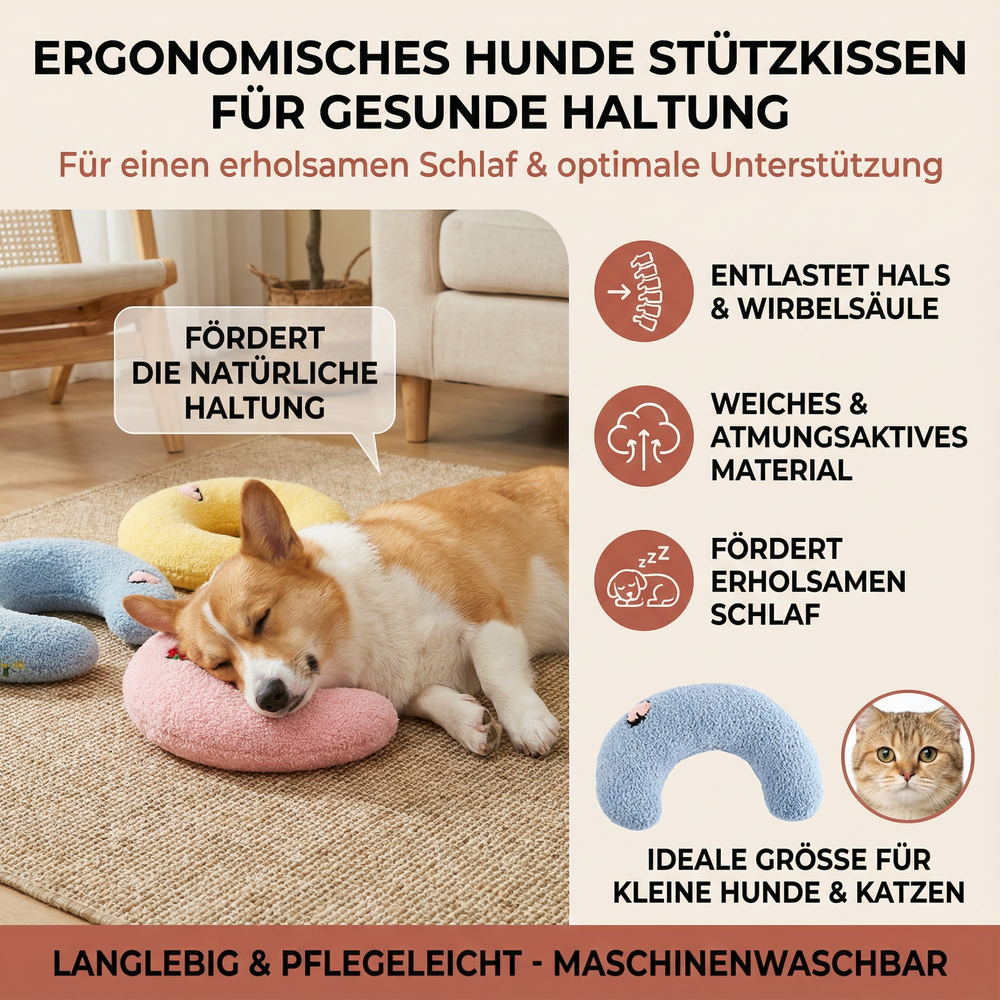 Hund auf ergonomischem Hundebett, genießt komfortablen Schlaf. Idealer Schlafplatz für Hundegesundheit.