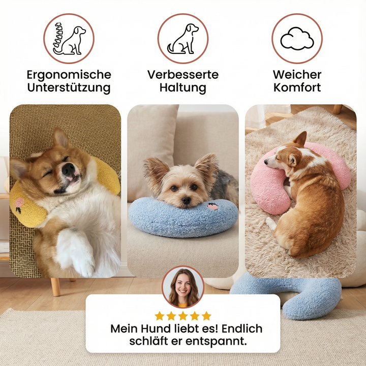 Gelenkschonendes Stützkissen, speziell für ältere Hunde. Fördert gesunde Haltung & reduziert Schmerzen.
