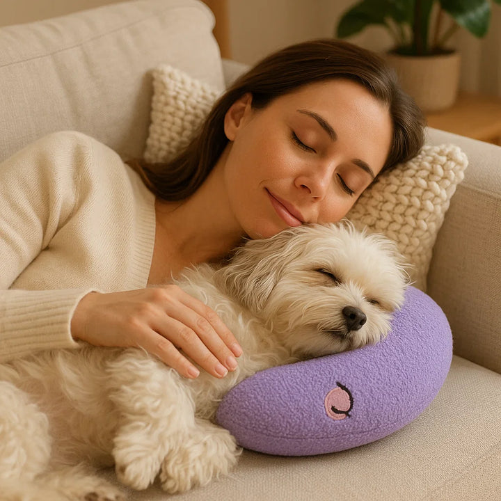 Stilvolles ergonomisches Hundebett, fügt sich perfekt in Ihr Zuhause ein. Fördert gesunde Haltung.